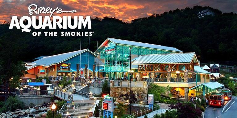 Villa Modern Style, Arcade, Fire Pit, Pet Friendly Pigeon Forge Exterior foto